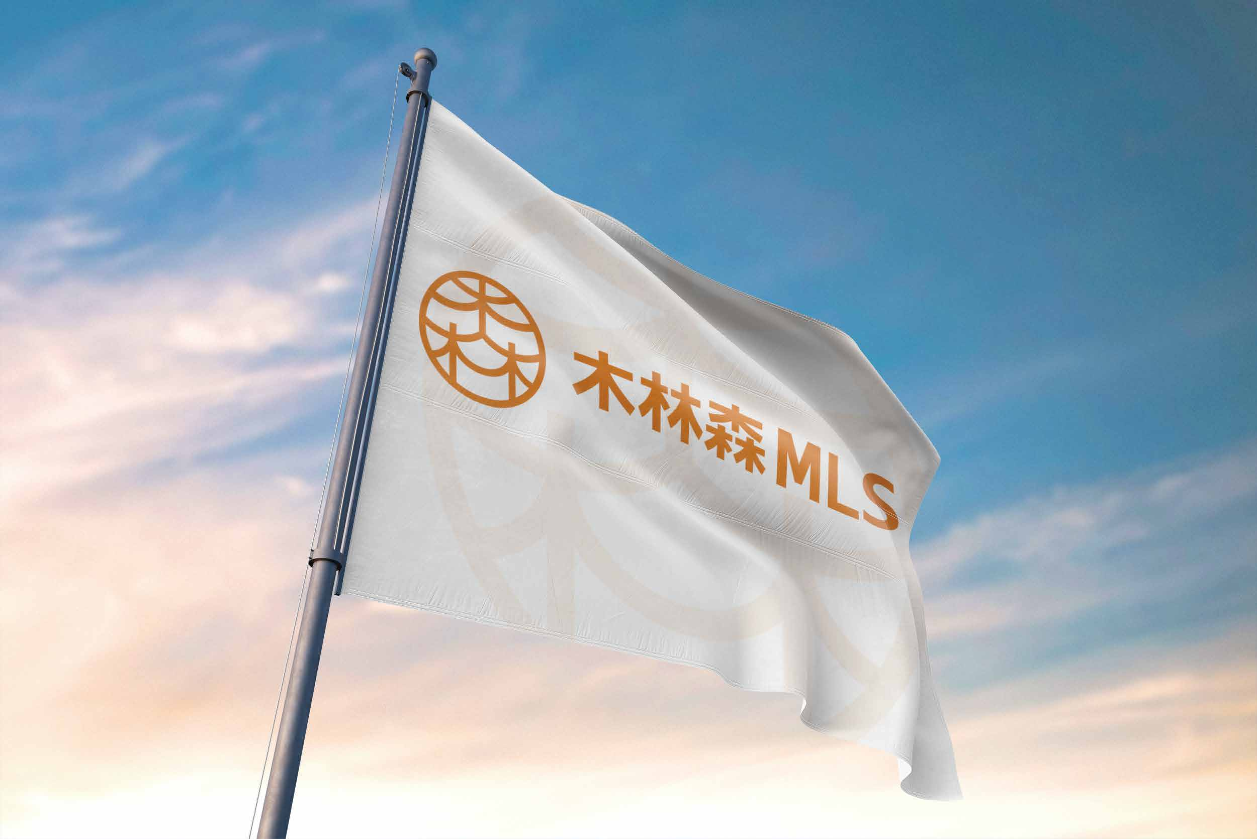 MLS Produktion